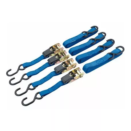 Rakomány Rögzítő 5M*25mm 250Kg 4 db 003421, Ah-003/4