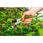 VERTO Metszőolló 190 mm Rávágó M:10 mm