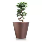 Prosperplast Virágcserép Kültéri Corten Acélszin Dtub400C-7601U - 400X373X400 mm