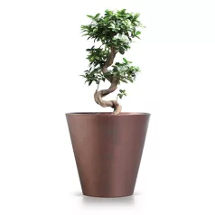   Prosperplast Virágcserép Kültéri Corten Acélszin Dtub400C-7601U - 400X373X400 mm