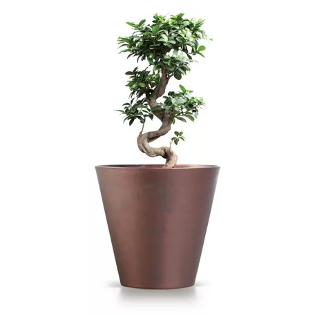 Prosperplast Virágcserép Kültéri Corten Acélszin Dtub400C-7601U - 400X373X400 mm