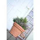 Virágcserép Műanyag 35 Decora Tégla dbde35-R736 350X280 mm