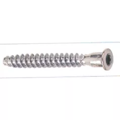 Comprimat Csavar Bkny Furat. 7.0*70 mm