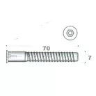 Comprimat Csavar Bkny Furat. 7.0*70 mm